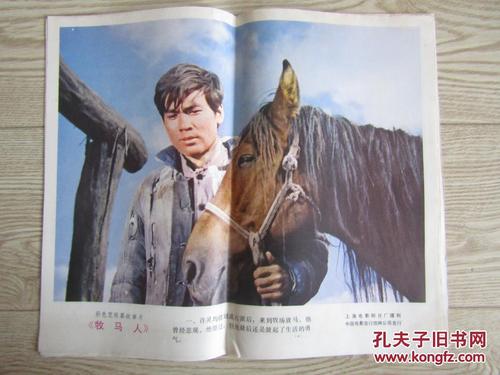 高仿日本帝冢山学院大学文凭毕业证